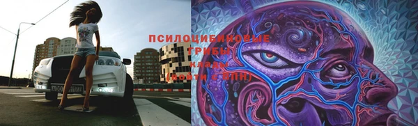 твердый Богородск