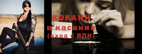 индика Балабаново