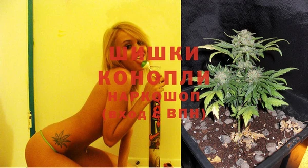 ГАЛЛЮЦИНОГЕННЫЕ ГРИБЫ Богданович