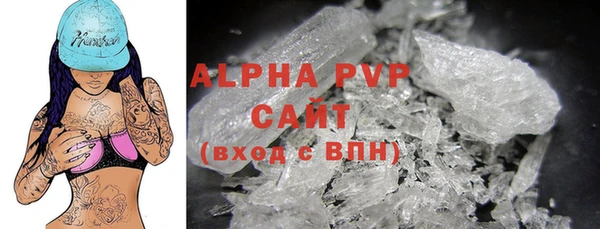 ГАЛЛЮЦИНОГЕННЫЕ ГРИБЫ Богданович