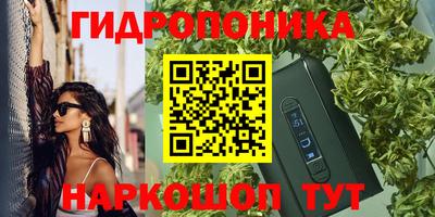 ПСИЛОЦИБИНОВЫЕ ГРИБЫ Кингисепп