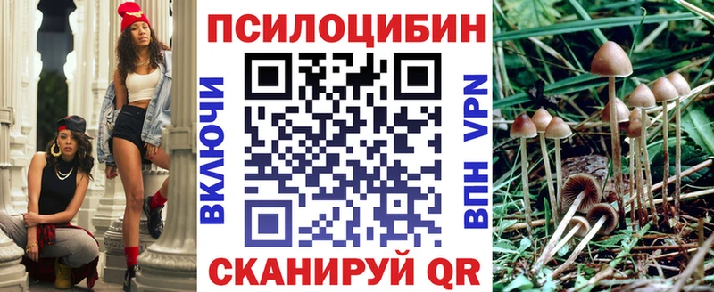 Галлюциногенные грибы Cubensis  закладки  Вязники 