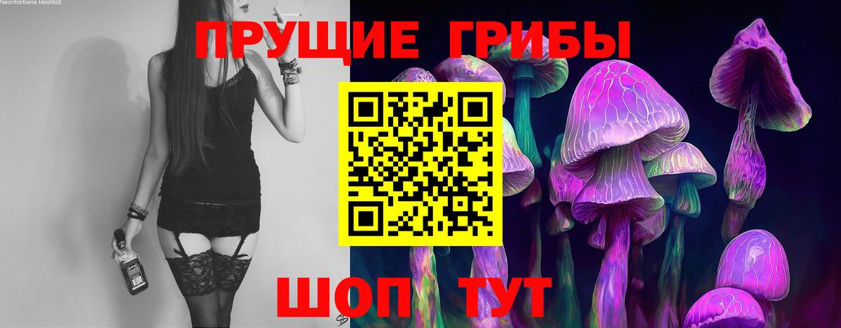 Вязники  Галлюциногенные грибы MAGIC MUSHROOMS  где можно купить наркотик  Вход с VPN 