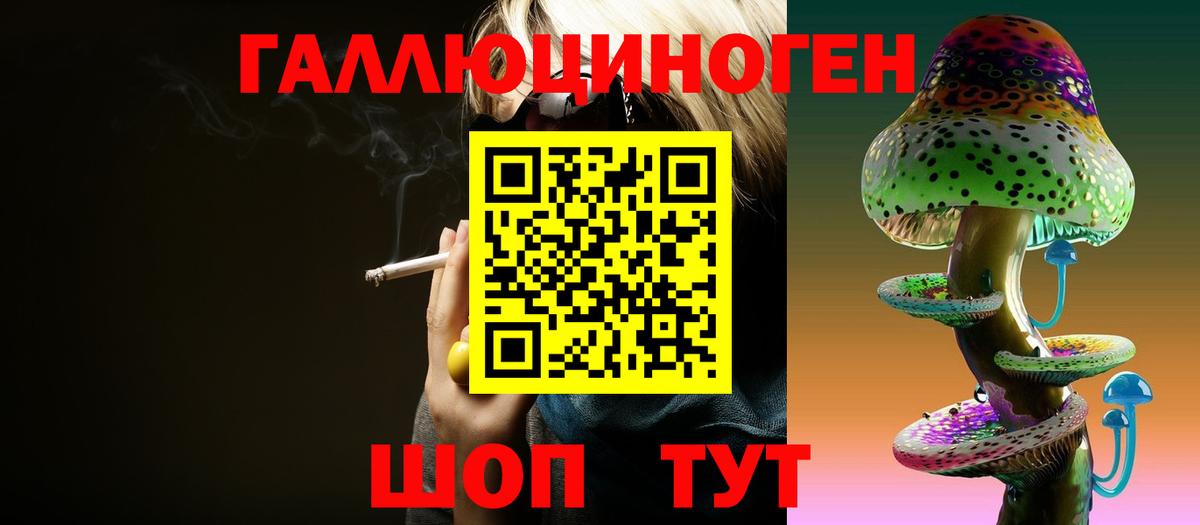 Псилоцибиновые грибы Cubensis Вязники